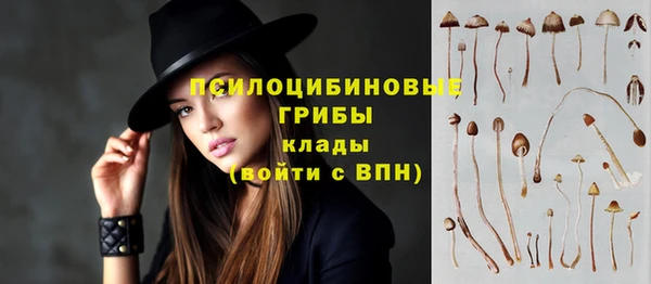 jwh Алзамай