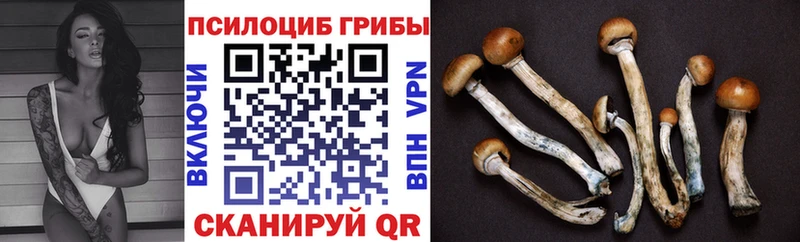 гидра зеркало  Курчалой  Галлюциногенные грибы Magic Shrooms 
