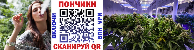 Канабис тримм  Курчалой 