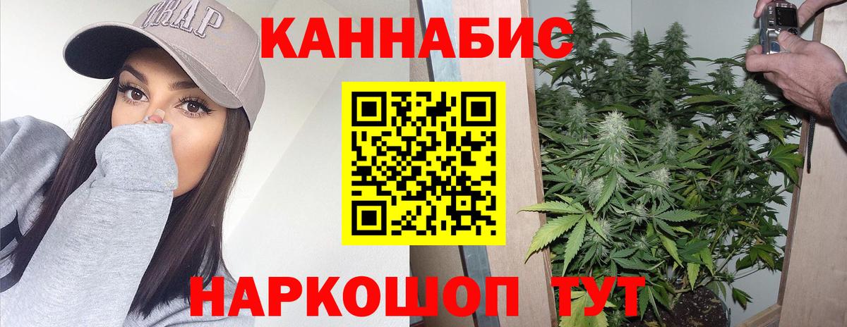 Конопля Amnesia  Вход с VPN  Курчалой  Шишки марихуана Amnesia 