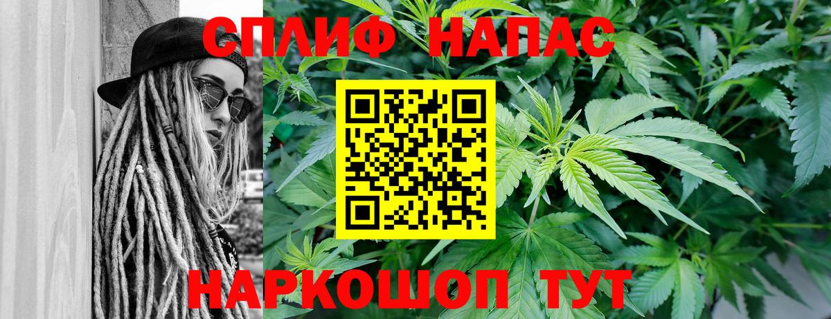 Бошки марихуана ГИДРОПОН Курчалой